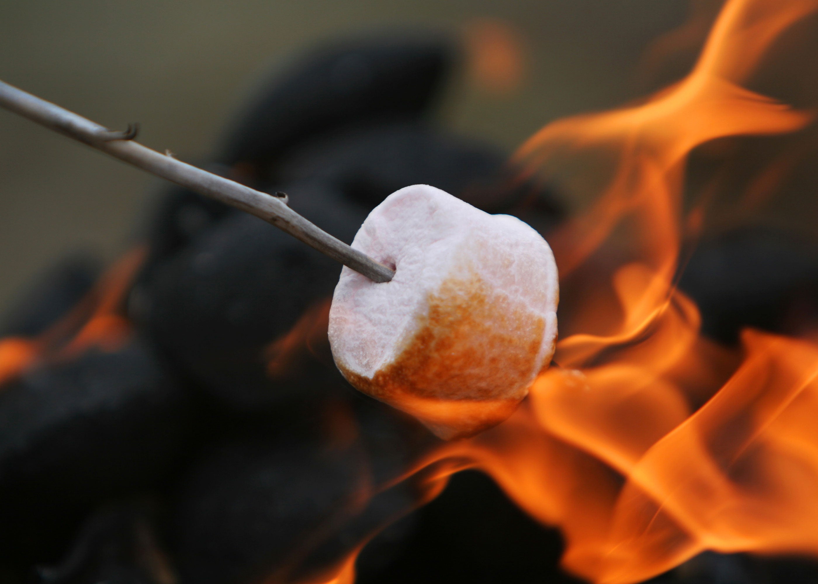 Bonfire Gathering Scented Wholesale Coconut & Soy Candles, Wax Melts & Fragrance Oils