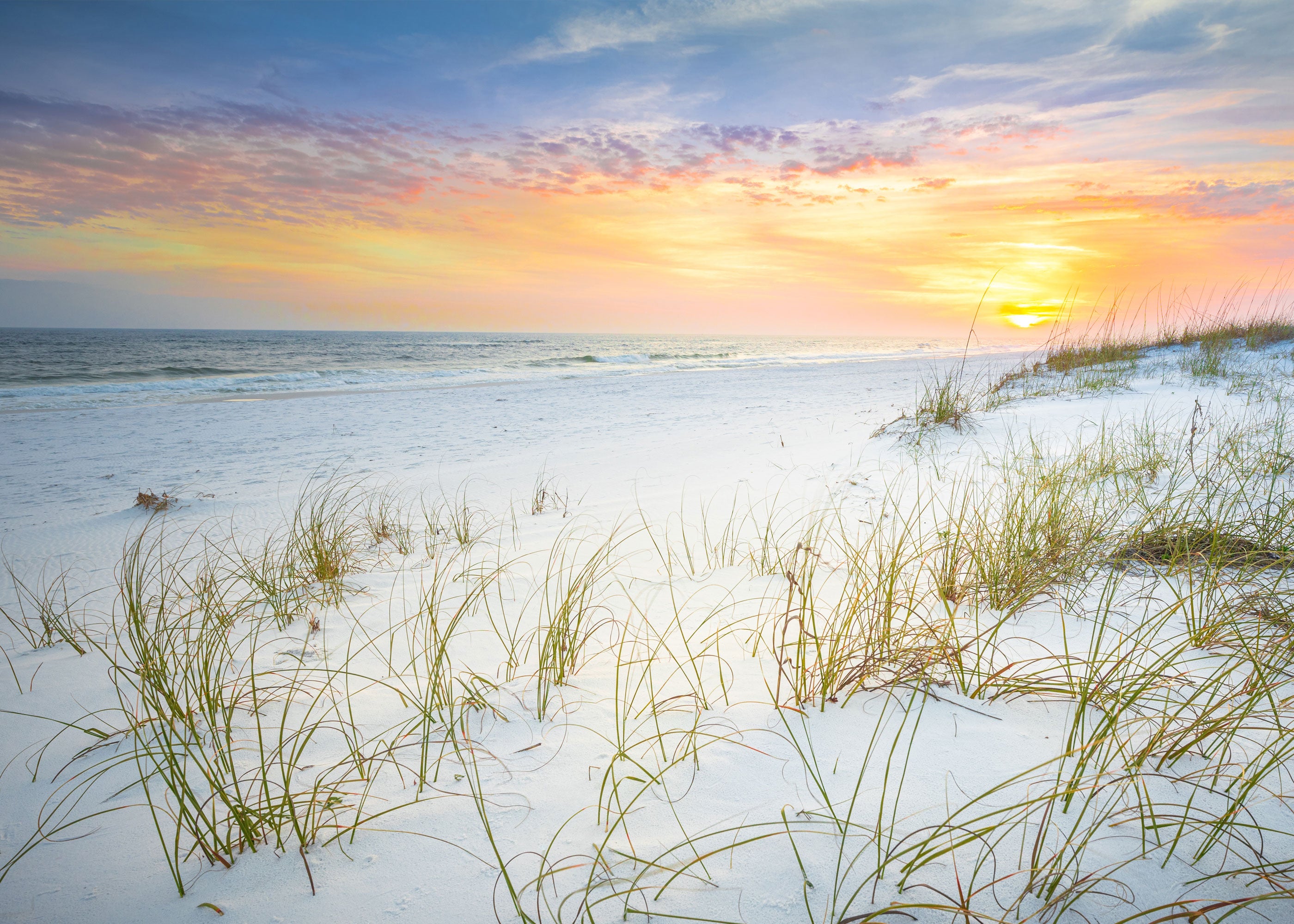 Seas the Day Scented Wholesale Coconut & Soy Candles, Wax Melts & Fragrance Oils